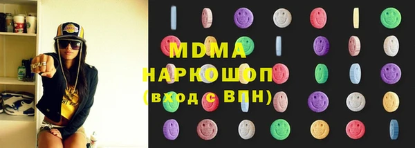 сатива Бородино