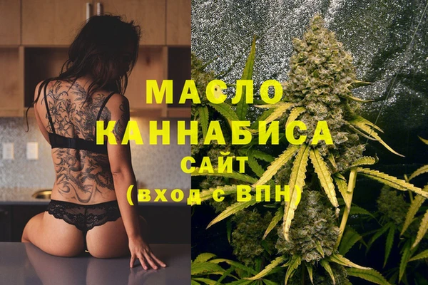 сатива Бородино