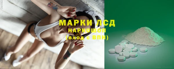 сатива Бородино
