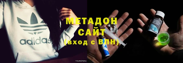 сатива Бородино