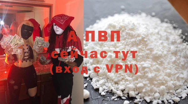 сатива Бородино
