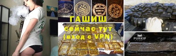сатива Бородино