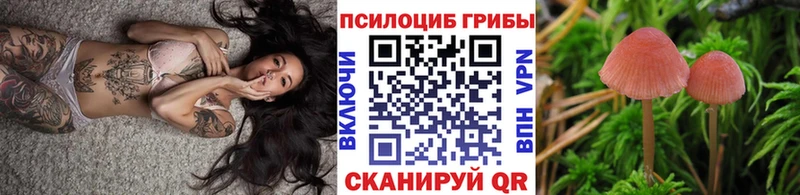 Купить  Осташков  Галлюциногенные грибы прущие грибы 