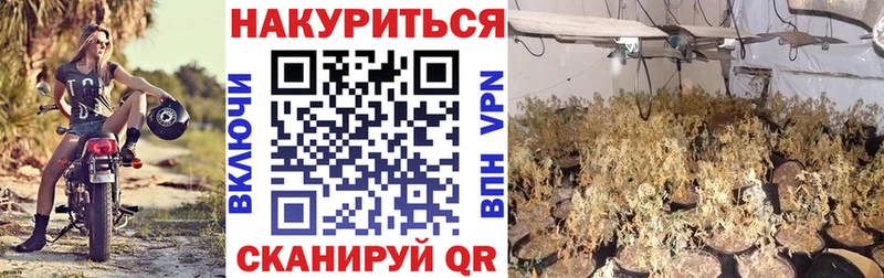 Купить где  Осташков  Шишки марихуана марихуана 